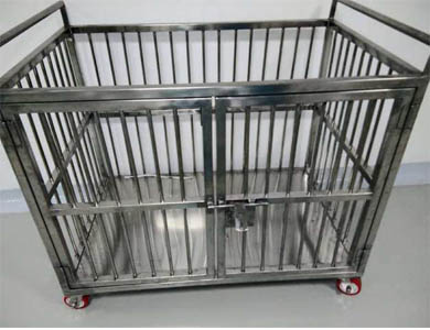 blog image